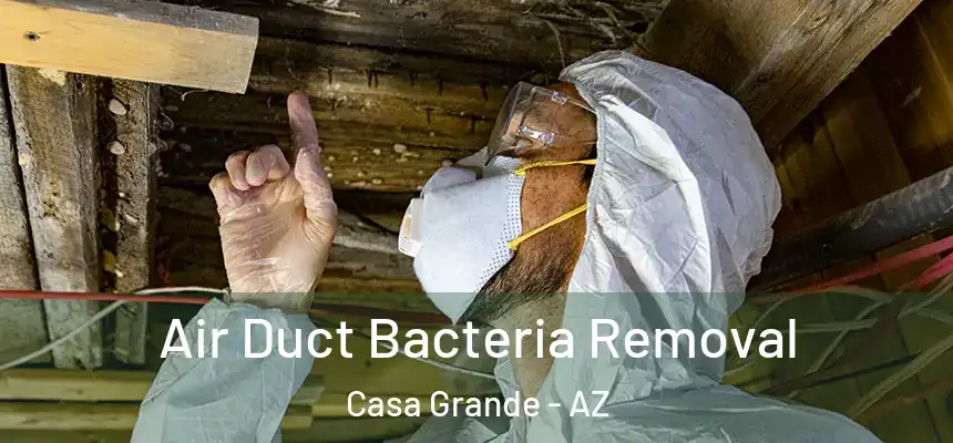  Air Duct Bacteria Removal Casa Grande - AZ