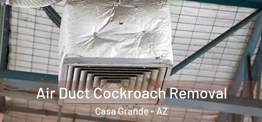  Air Duct Cockroach Removal Casa Grande - AZ