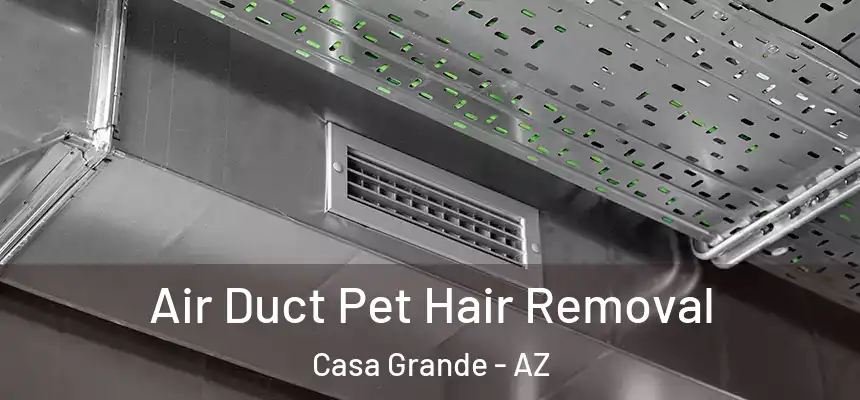  Air Duct Pet Hair Removal Casa Grande - AZ