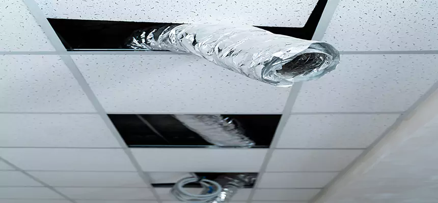 Affordable HVAC Sanitizing After Pest Removal in Casa Grande