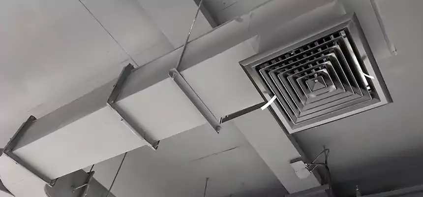 Restorative Allergy Relief Vent Cleaning – Coil, Blower & Housing Detail in Casa Grande