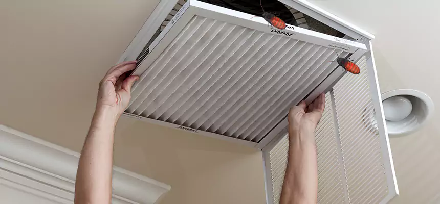 Our Insect Removal from Air Ducts Services in Casa Grande, AZ