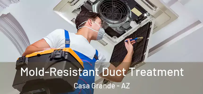  Mold-Resistant Duct Treatment Casa Grande - AZ