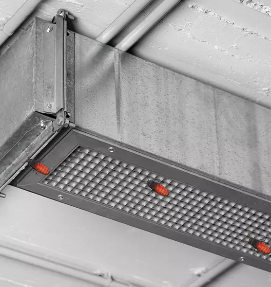 About Air Duct Cockroach Removal in Casa Grande, AZ