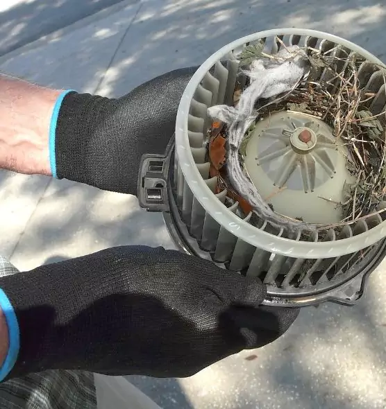 About Air Duct Mice Removal in Casa Grande, AZ