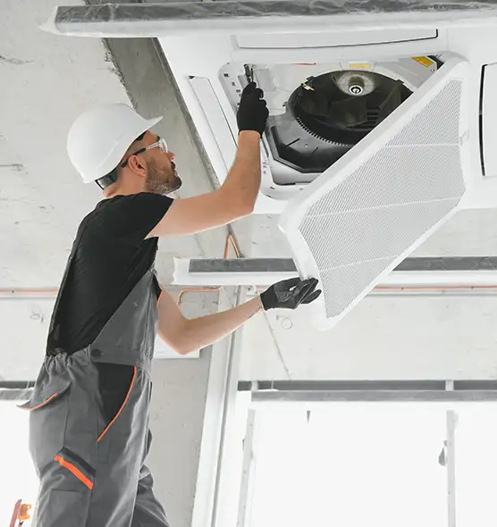 About Air Duct Rodent Removal in Casa Grande, AZ