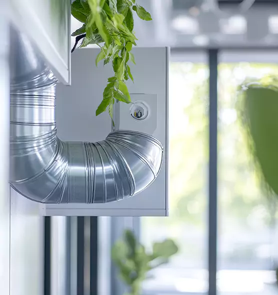 Professional Eco-Safe Dryer Vent Cleaning in Casa Grande, AZ