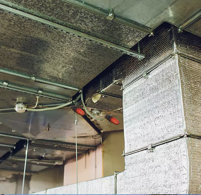 Why Homeowners & Businesses Trust Us Casa Grande, AZ?